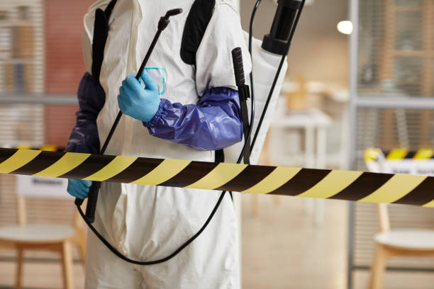 Professional Sewage Cleanup technician working in Greenwich, NJ